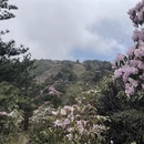 吉安旅游 缩略图 7