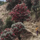 昆明旅游 缩略图 4