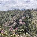 吉安旅游 缩略图 8