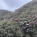 吉安旅游 缩略图 9