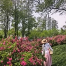 武汉旅游 缩略图 8