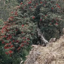 昆明旅游 缩略图 10