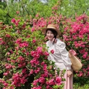 武汉旅游 缩略图 12