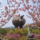 吉安旅游 缩略图 11