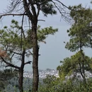 苏州旅游 缩略图 4