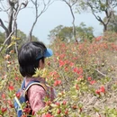 苏州旅游 缩略图 8