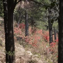 苏州旅游 缩略图 7