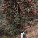 昆明旅游 缩略图 18