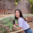 香港旅游 缩略图 5