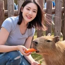 香港旅游 缩略图 4