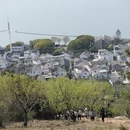 苏州旅游 缩略图 14