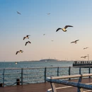日照旅游 缩略图 6