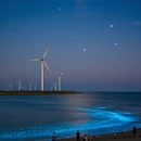 福州旅游 缩略图 4