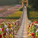 崇左旅游 缩略图 5