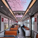 香港旅游 缩略图 5