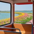 扬州旅游 缩略图 6