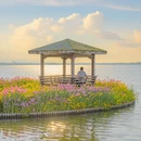 扬州旅游 缩略图 11