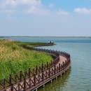 扬州旅游 缩略图 12