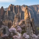 广元旅游 缩略图 4