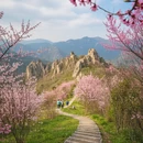 广元旅游 缩略图 5