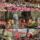 苏州旅游 缩略图 5