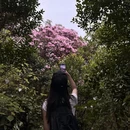 深圳旅游 缩略图 5