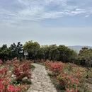 苏州旅游 缩略图 8