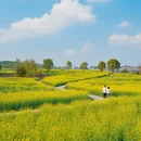 芜湖旅游 缩略图 5