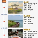 扬州旅游 缩略图 3