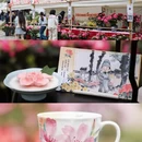 苏州旅游 缩略图 8