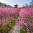 九江旅游 缩略图 11