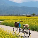 贵阳旅游 缩略图 8