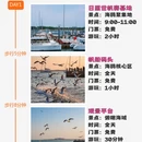 日照旅游 缩略图 1
