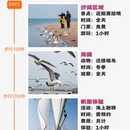 日照旅游 缩略图 2