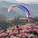 贵阳旅游 缩略图 6