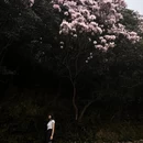 深圳旅游 缩略图 8