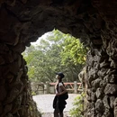深圳旅游 缩略图 7