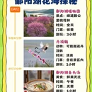 九江旅游 缩略图 2