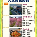 九江旅游 缩略图 3