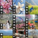 贵阳旅游 缩略图 1