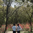 苏州旅游 缩略图 9