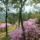 苏州旅游 缩略图 7