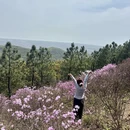 苏州旅游 缩略图 2