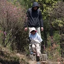 苏州旅游 缩略图 11