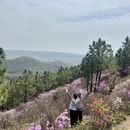 苏州旅游 缩略图 1