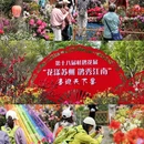 苏州旅游 缩略图 2