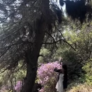 苏州旅游 缩略图 9