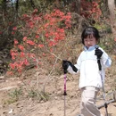 苏州旅游 缩略图 12