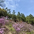 苏州旅游 缩略图 4