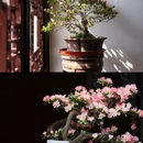 苏州旅游 缩略图 4